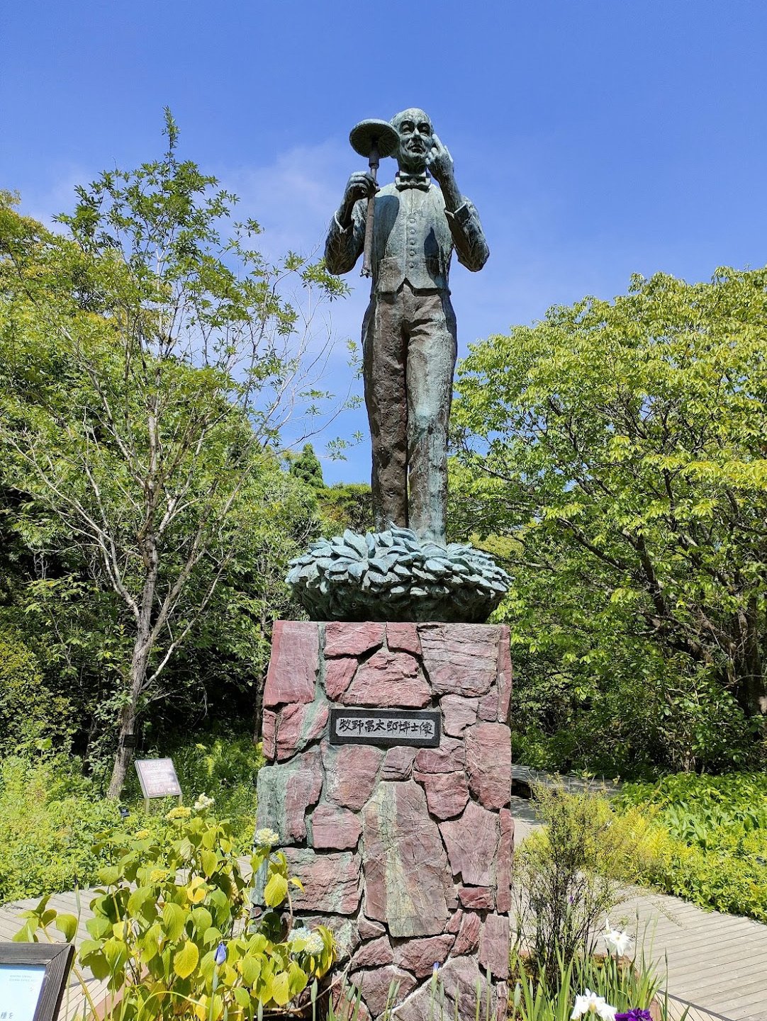 🌿 마키노 기념 정원 기념관(마키노 키넨 테이엔 키넨칸) 이미지 9